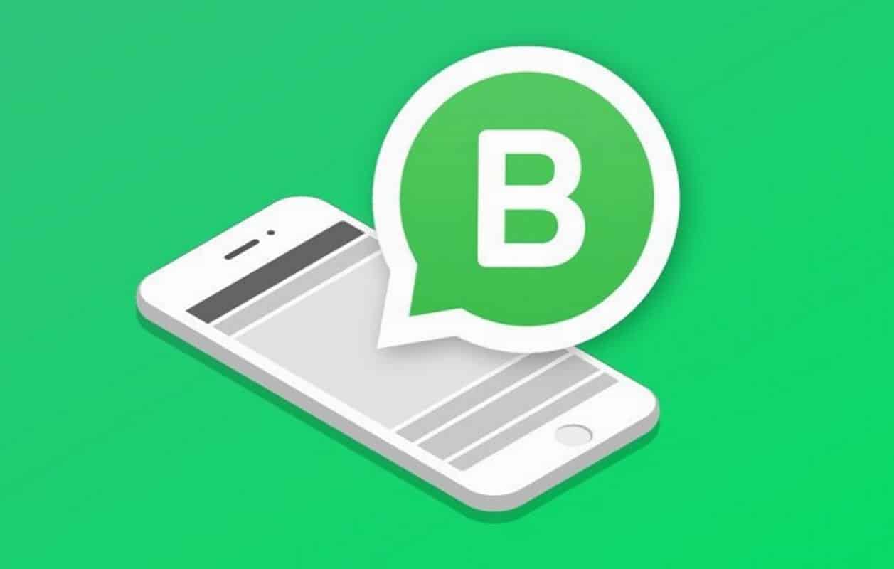 Ватсап бизнес на телефон. WHATSAPP Business PNG.