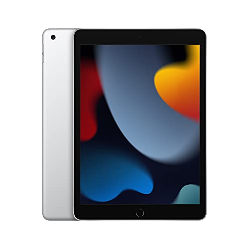 Apple iPad Wi-Fi de 10,2 polegadas (Wi-Fi, 256 GB) - Prateado